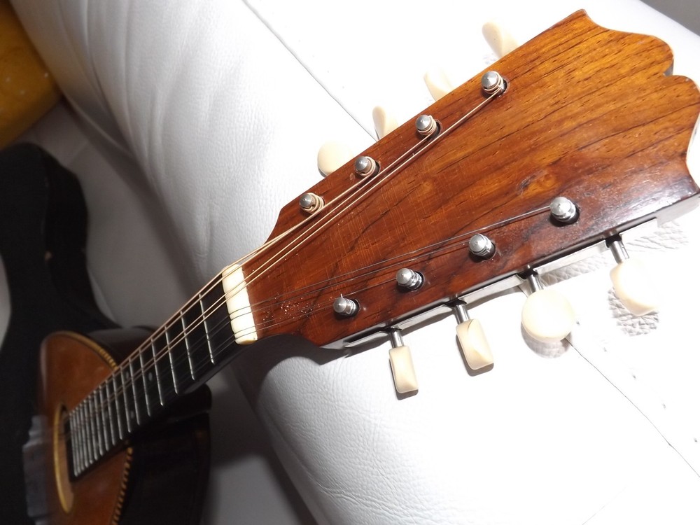 Rare Weymann Mandolute 100yrs old
