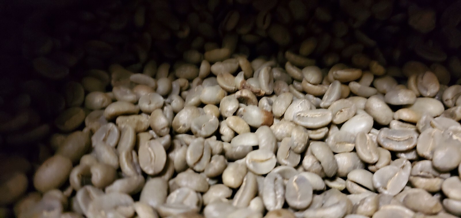 5 LBS PAPUA NEW GUINEA UNROASTED GREEN COFFEE BEANS - ARABICA