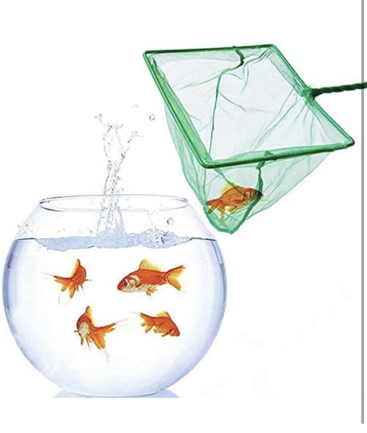 2 Pack Aquarium Fish Nets, 4 Inch Small Mesh Fish Catch Nets with Plastic Handl