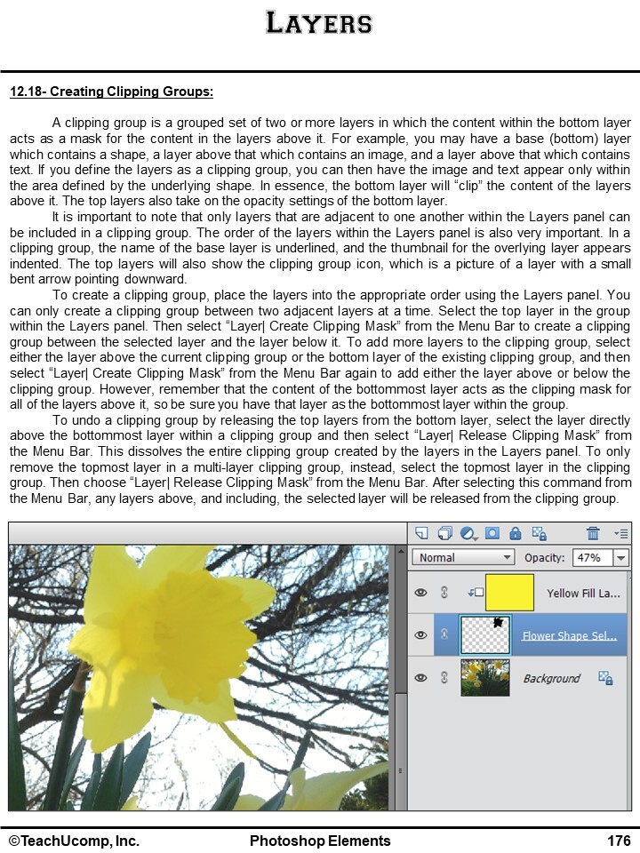 New PHOTOSHOP ELEMENTS 2023 DELUXE Training Tutorial & Quick Reference Guide
