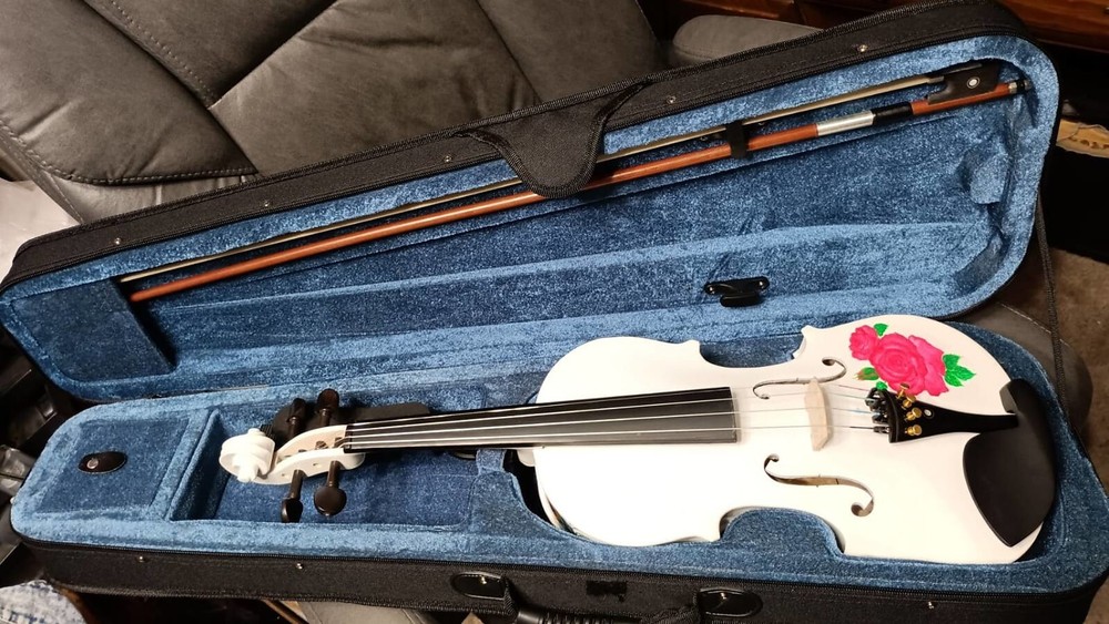 PEACOCK HAND-PAINTED SOLID SPRUCE TOP MAPLE BACK/SIDES VIOLIN 4/4