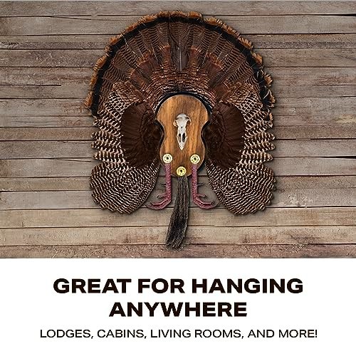 Turkey Mounting Kit - Rustic Wall Display Plaque with European Skull - Universal