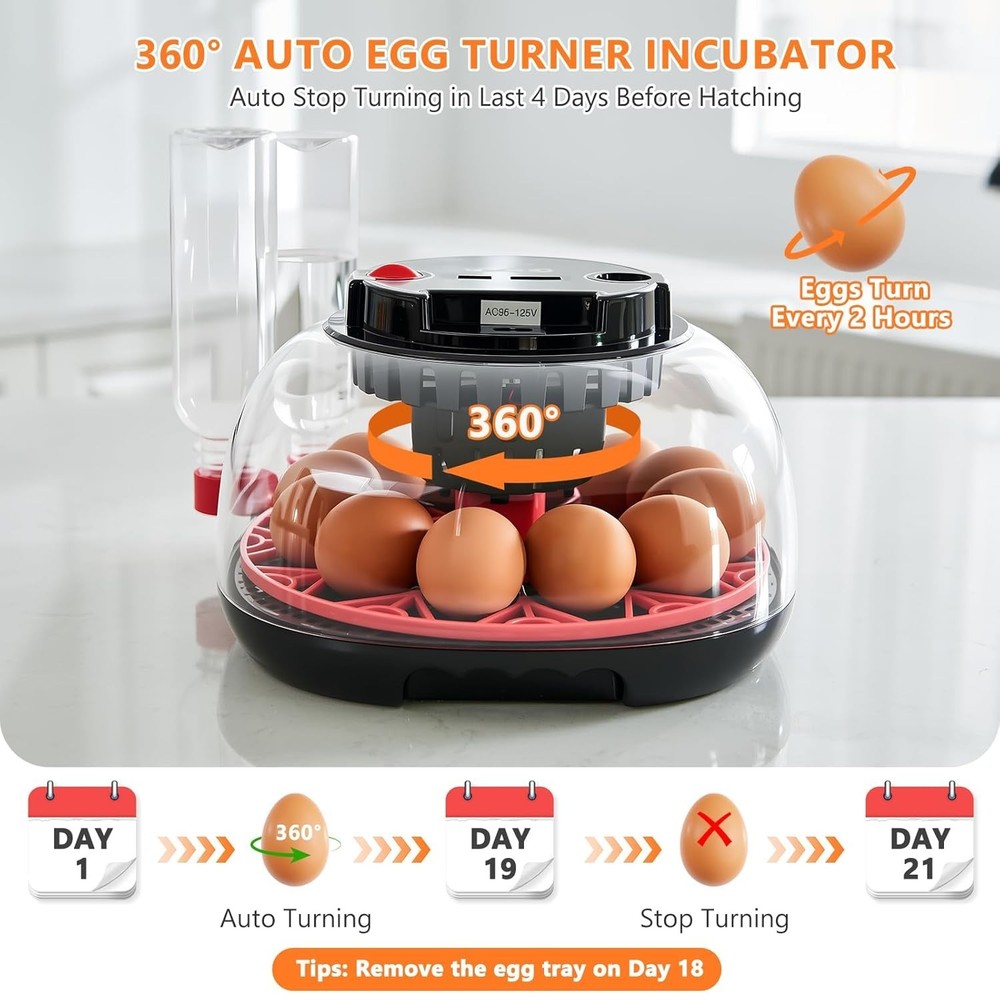 Incubators for Hatching Eggs - 12 Egg Capacity, Egg Incubator with Automatic ...