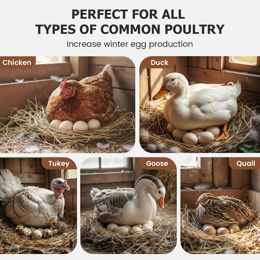 Chicken Coop LED Light with Timer Automatic Daylight Extender Lamp–New/Open Box