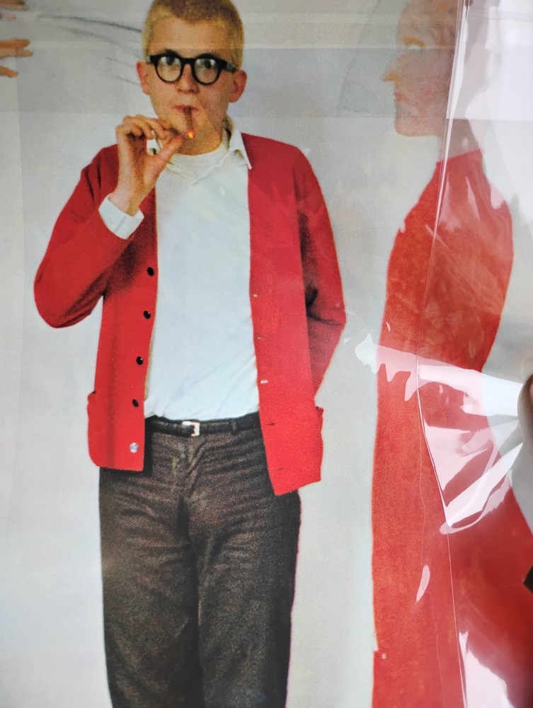 Print Andy Warhol picture