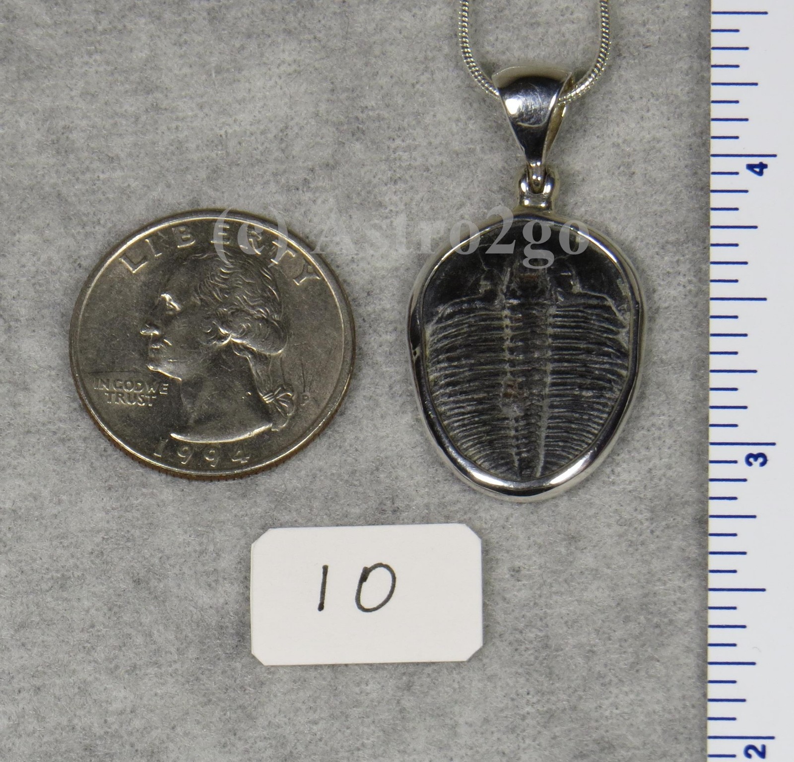 Elrathia Kingii TRILOBITE PENDANT $55 Sterling Silver Jewelry STARBORN CREATIONS