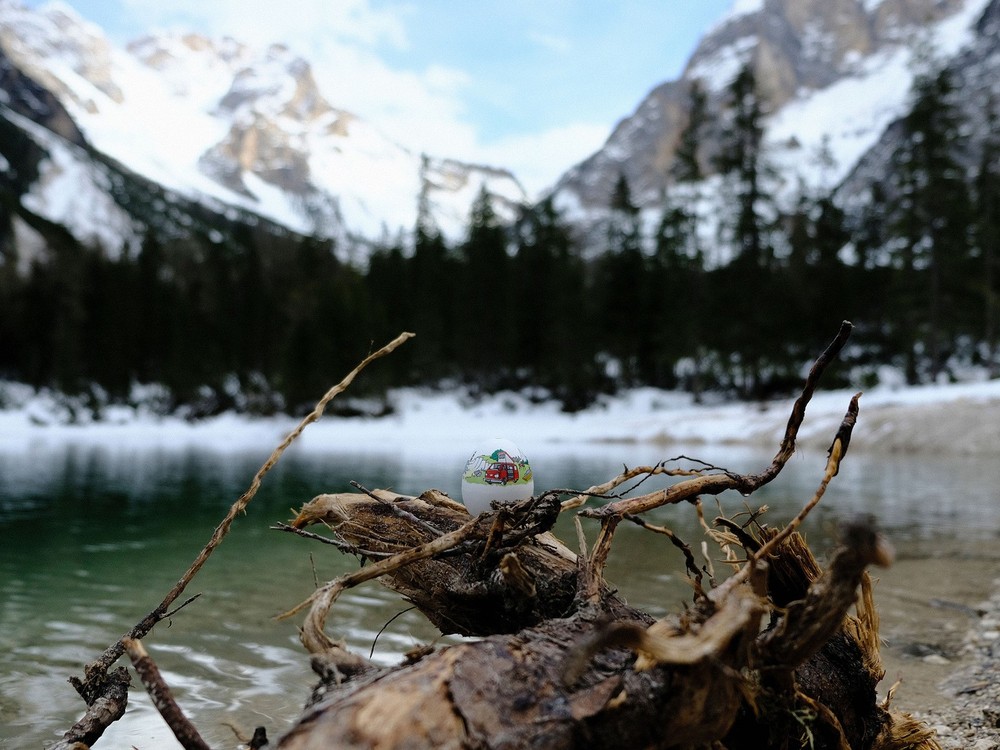 Brainstream Camping BeepEgg Singing and Floating Egg Timer for Boiled Eggs