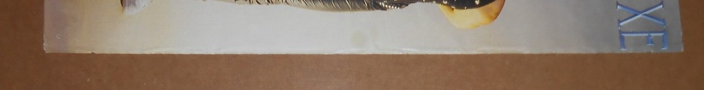 Lillian Axe Vintage Poster 2-Sided 16x11 Group Shot