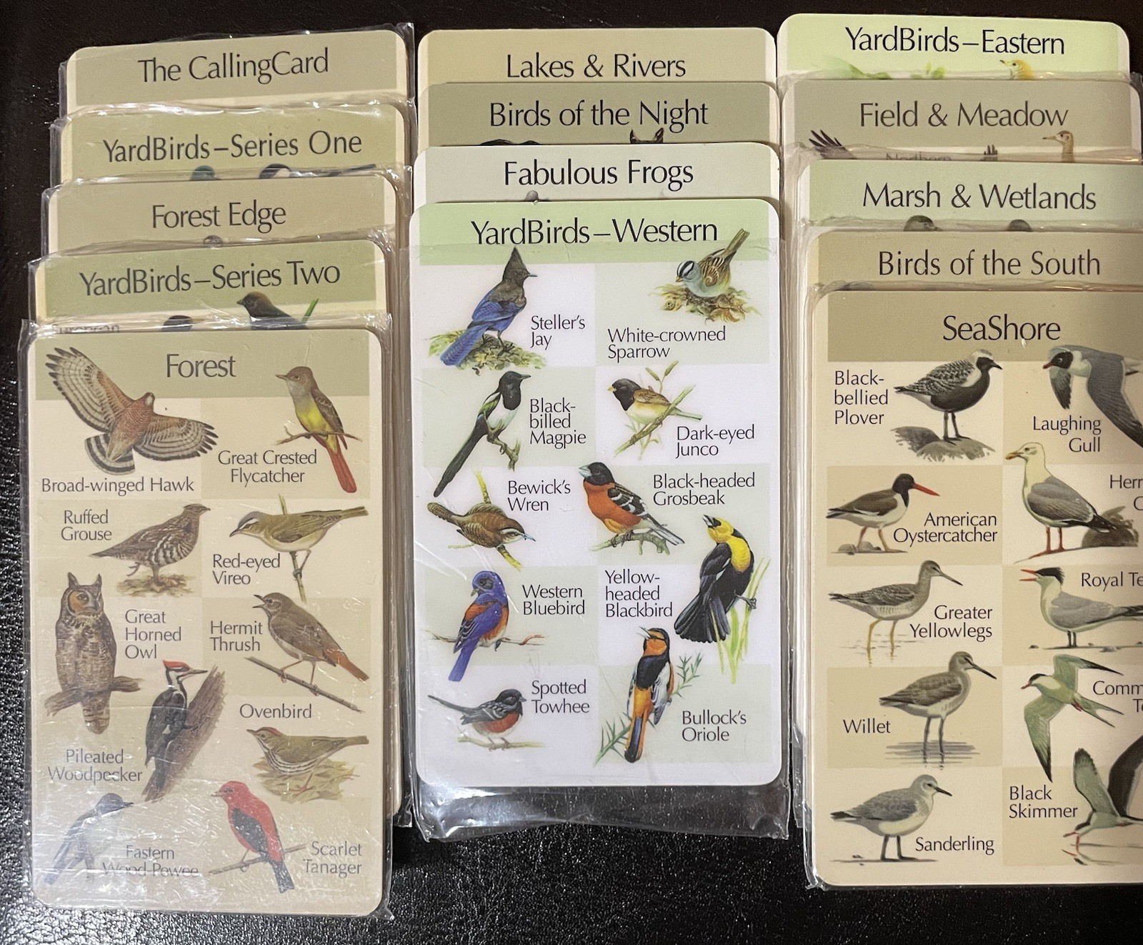Handheld Electronic Birdsong Identiflyer,Carrying Case, 14 Song Cards,Earbud