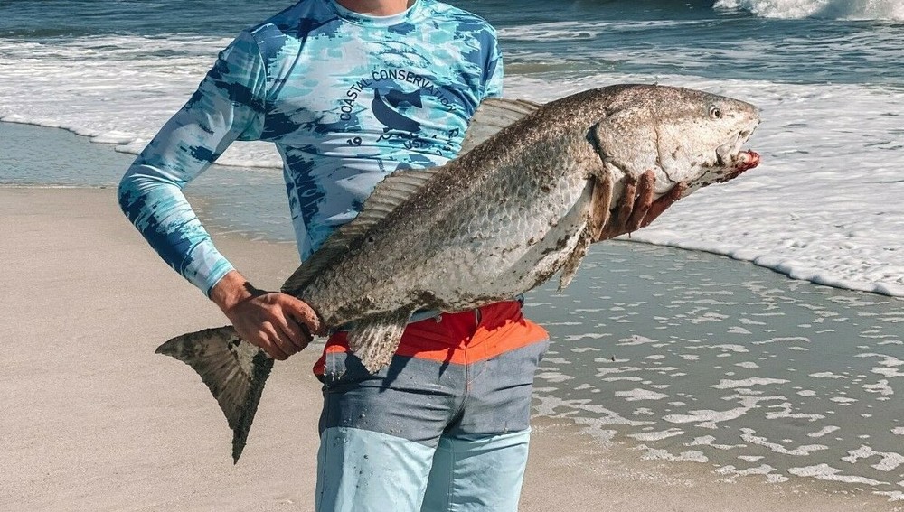 3 Pack 'Fish Finder' Red Drum Rig 100# Mono