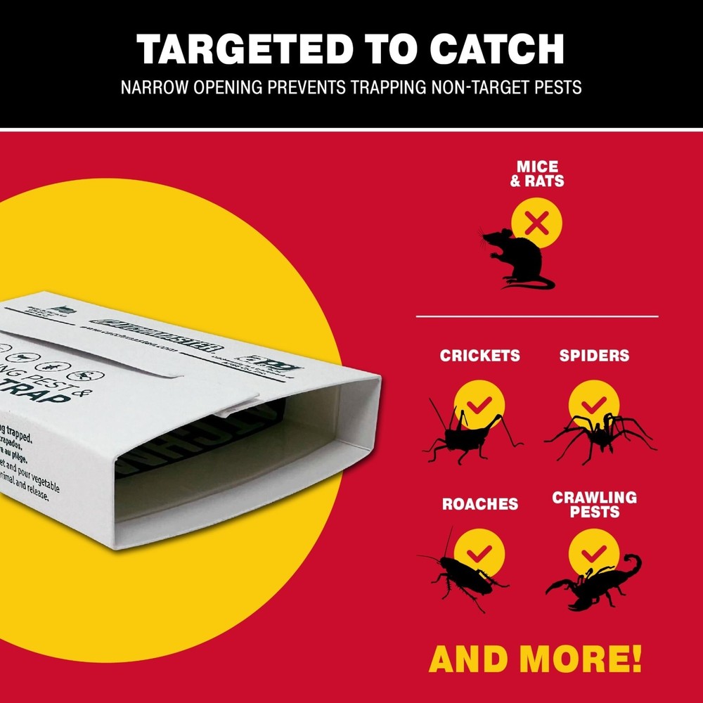 Catchmaster Crawling Pest & Insect Glue Traps 12-Count