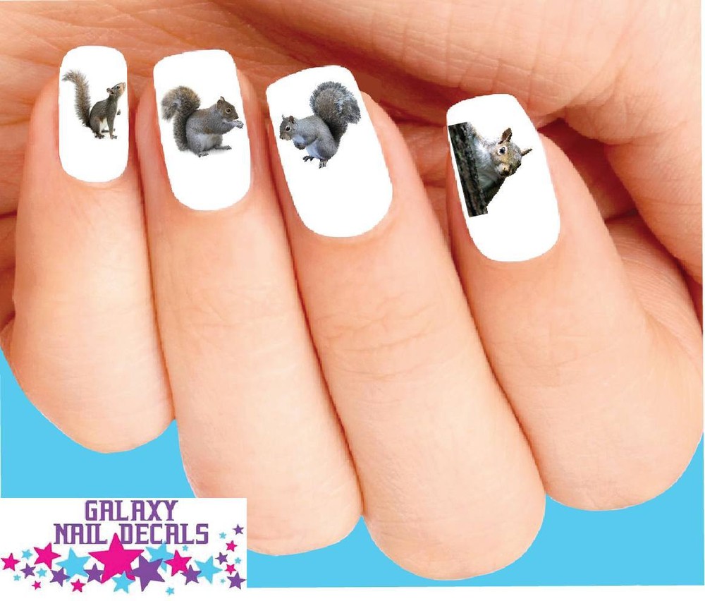 Waterslide Nail Decals - Set of 20 Squirrel Assorted