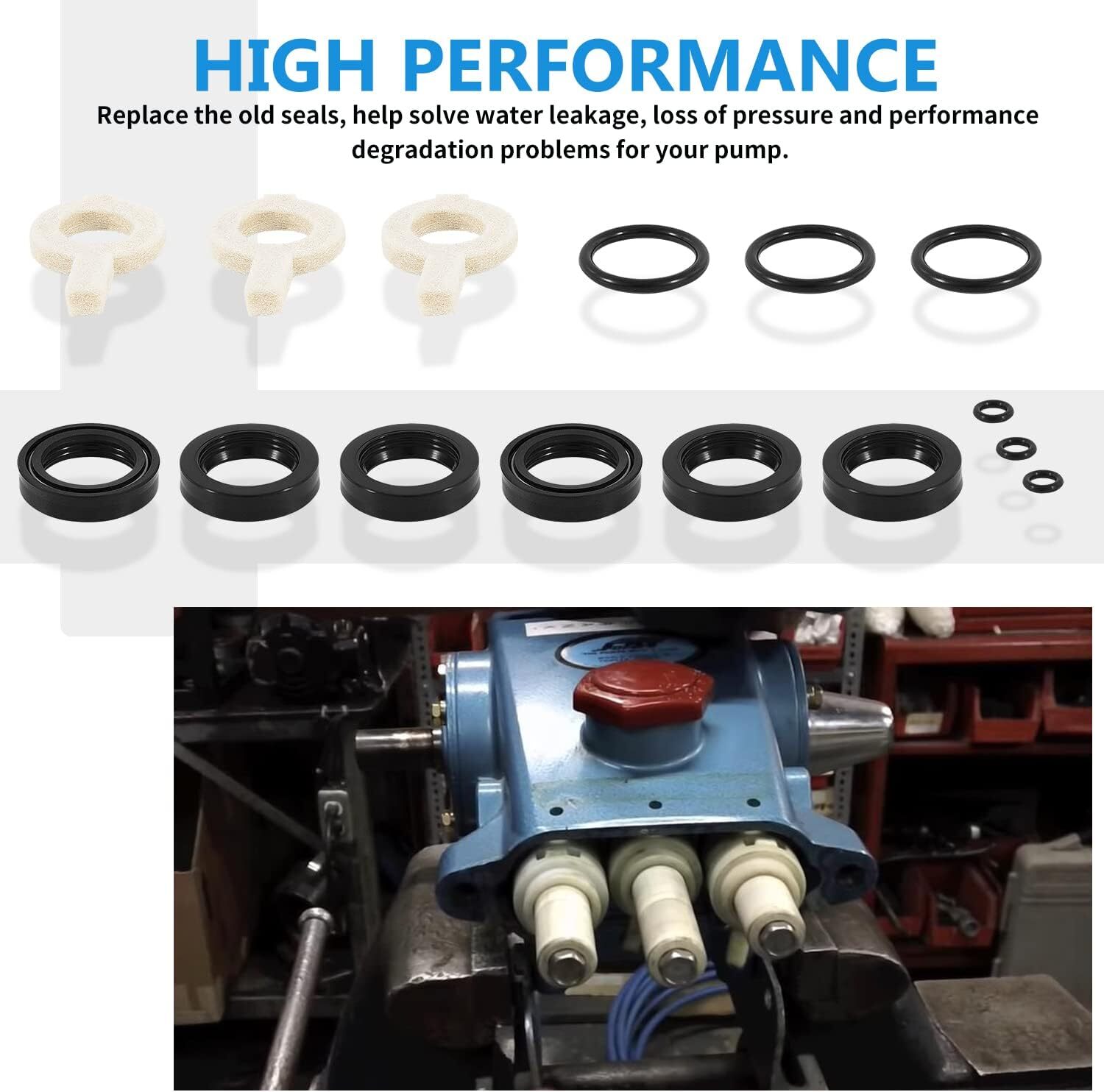 30623 Rebuild Seal Kit For Cat Pump Pressure Washer Model 30 31 34 35 310 340💎