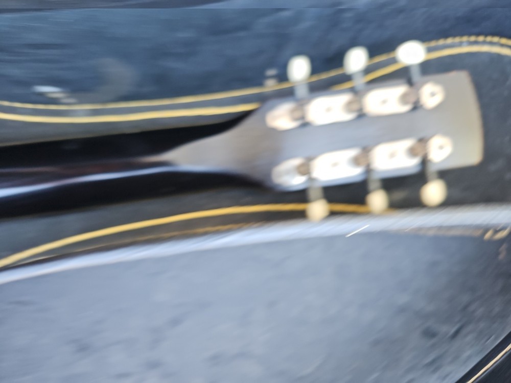 egmond guitar With Case. Used