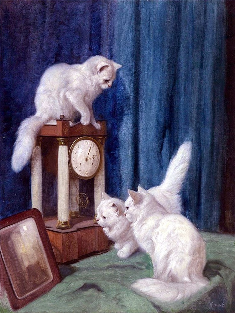 Three curious cats Accent Tile Mural Kitchen Bathroom Backsplash Ceramic 6x8