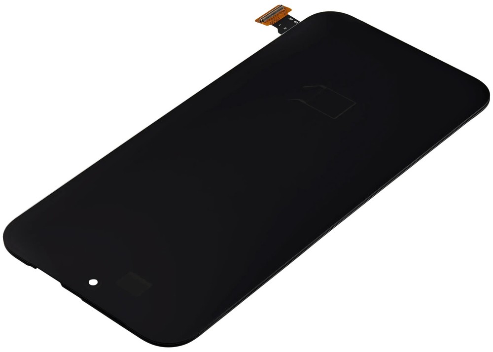 OLED Assembly with Frame (With Fingerprint Sensor) For Google Pixel 9 Pro XL