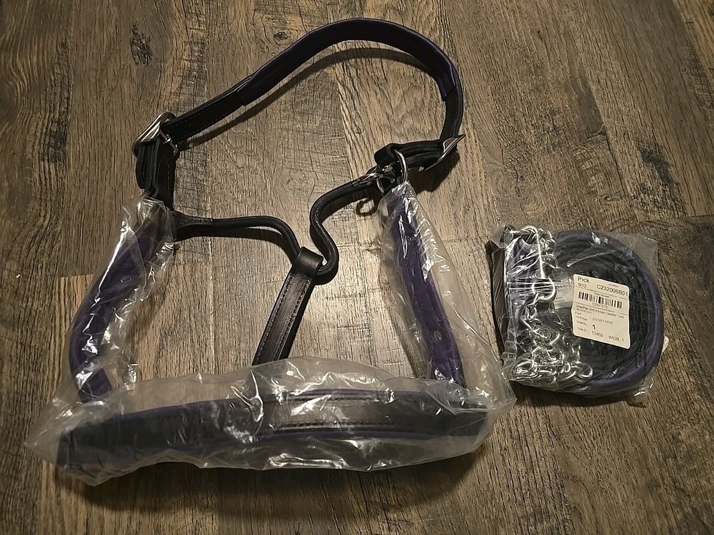 Leather Halter And Lead