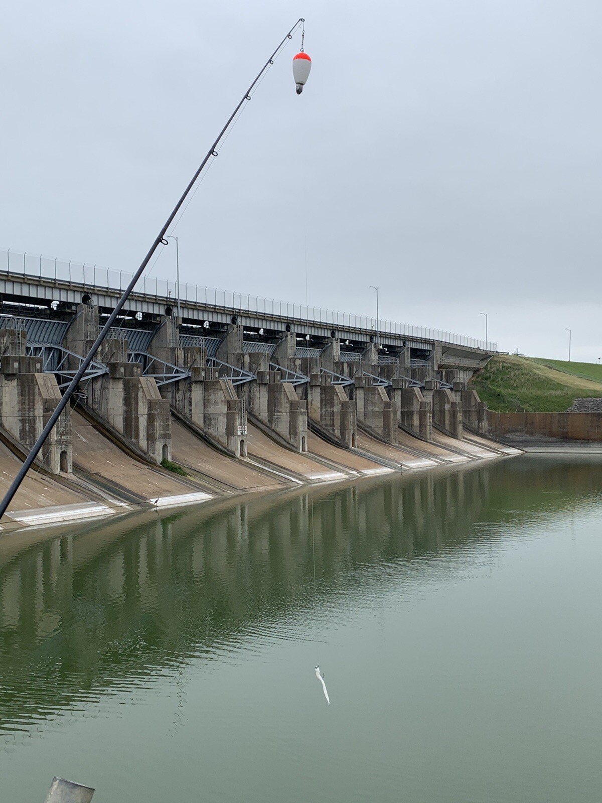 3 oz weighted foam floats, 5 Pieces