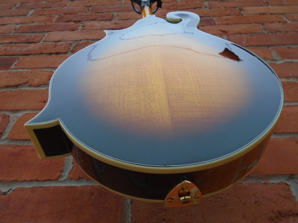 Gold Tone GM-70 Plus Mandolin, store demo