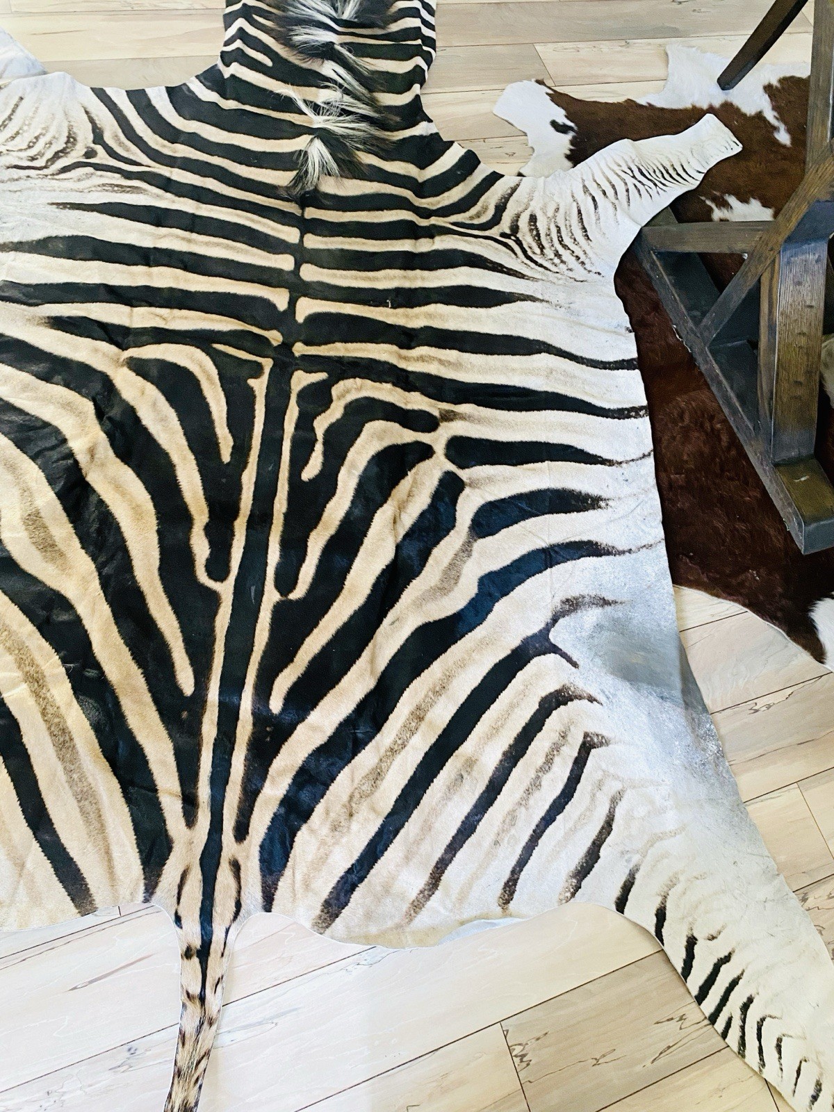 BEAUTIFUL GENUINE EQUUS BURCHELL ZEBRA SKIN RUG HIDE - US SHIPPER
