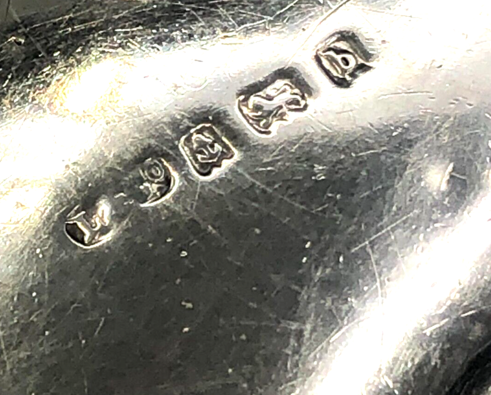 Antique Sterling Silver Eyeglass Case with Chatelain, English Sterling Hallmarks