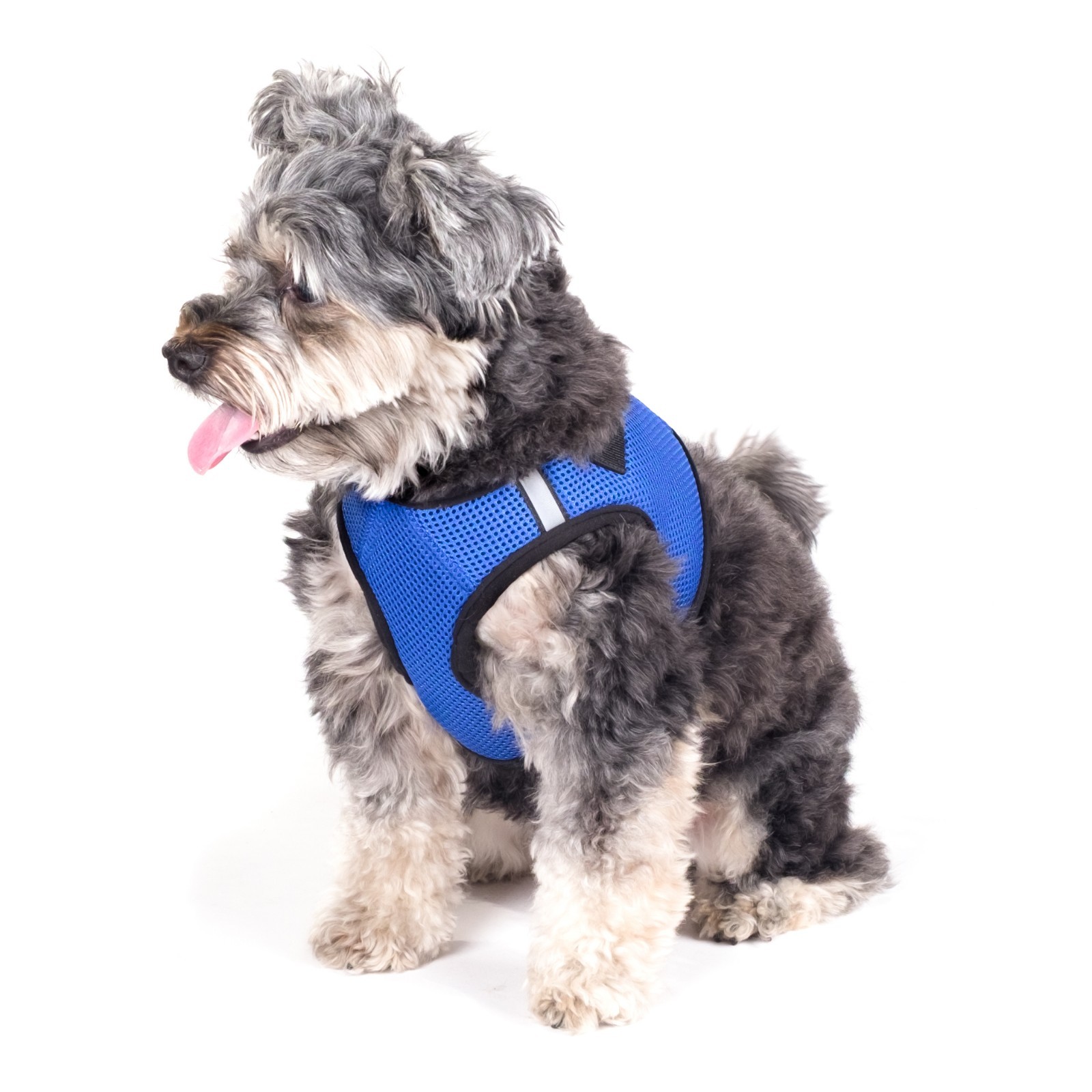 Worthy Dog Sidekick Harness Puppy Vest Miniature Tiny XS S M L XL 2XL 3XL