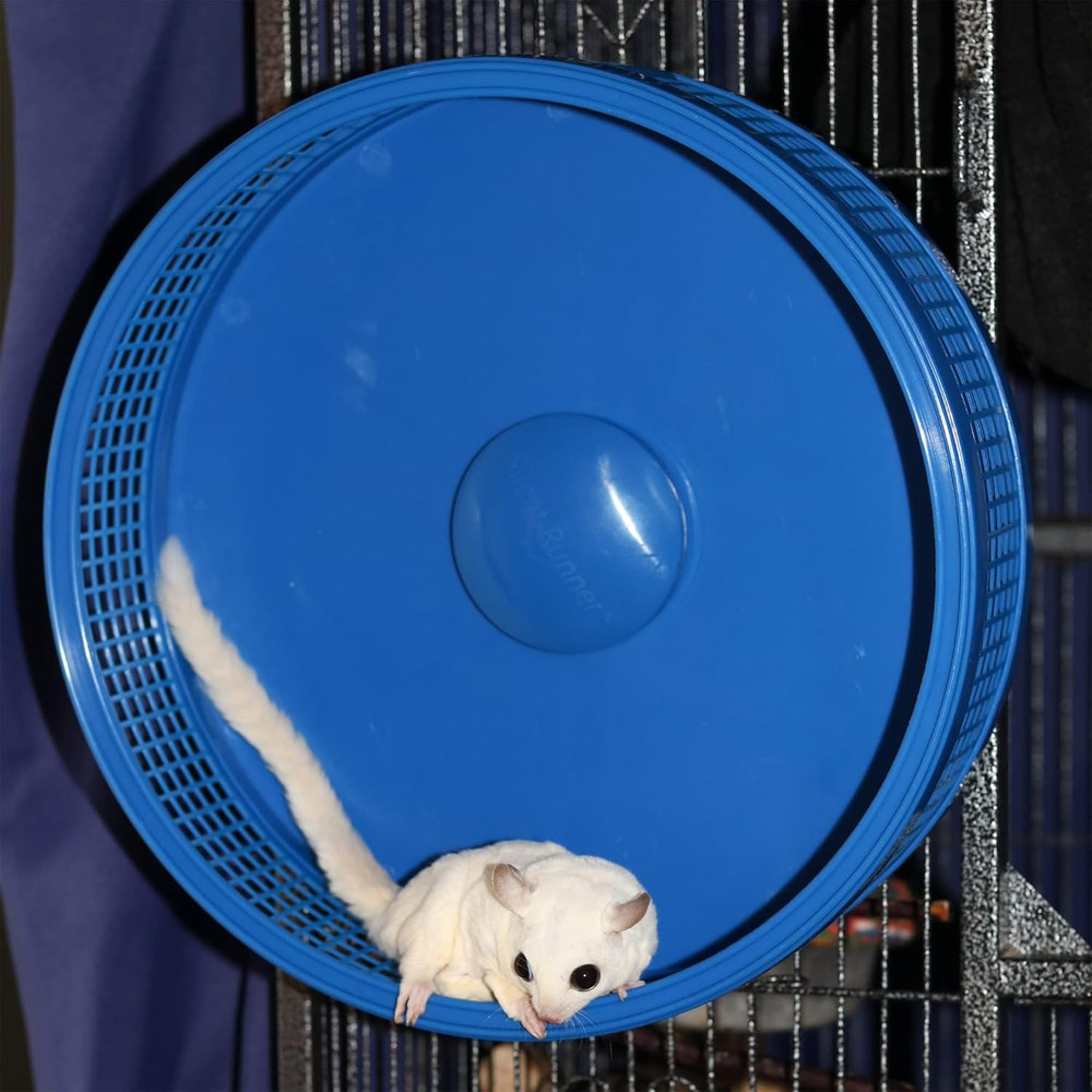 Silent Runner Pro | Sugar Glider Exercise Wheel (Black with Attachment)