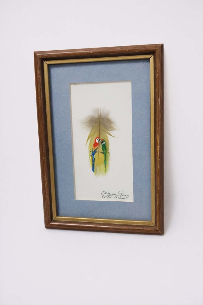 Handpainted Framed Feathers Art Parrots Birds Signed