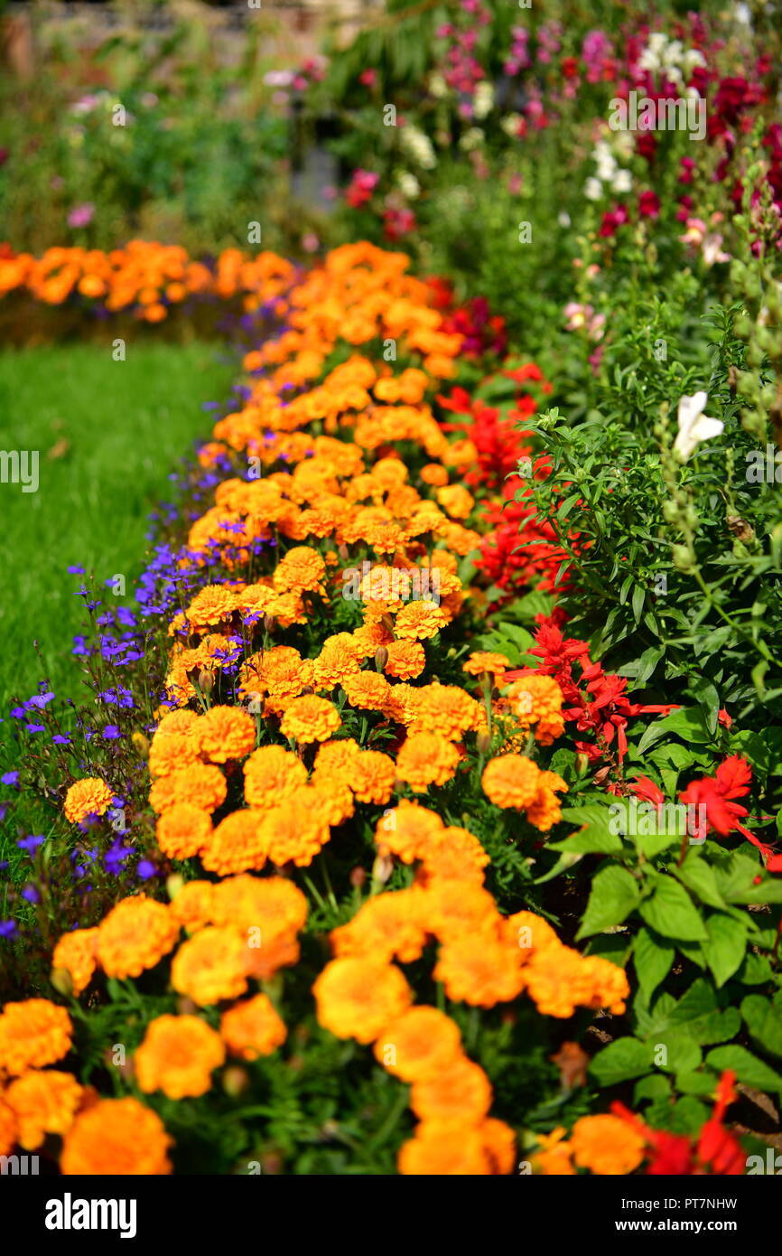 100% Urea Nitrogen Fertilizer / Gold Refining by YaraVer a Fast Free Shipping