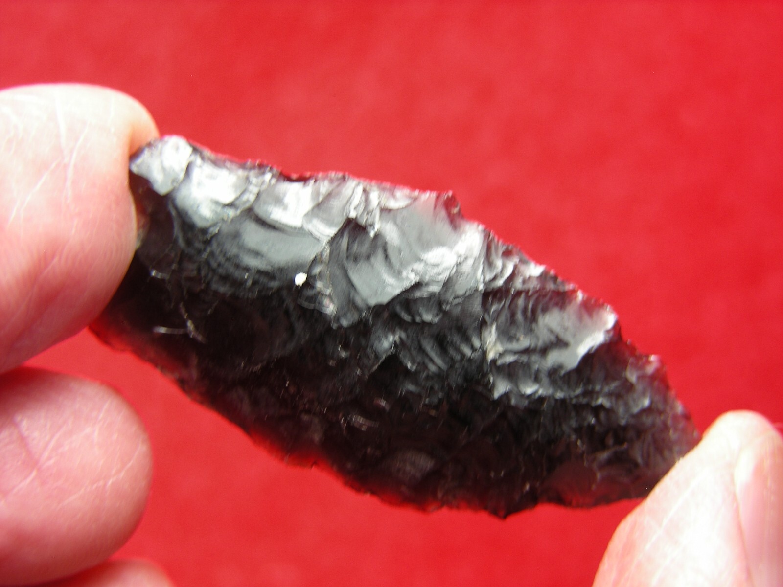 HUMBOLDT 1-1/2" CALIFORNIA Authentic Indian Relics