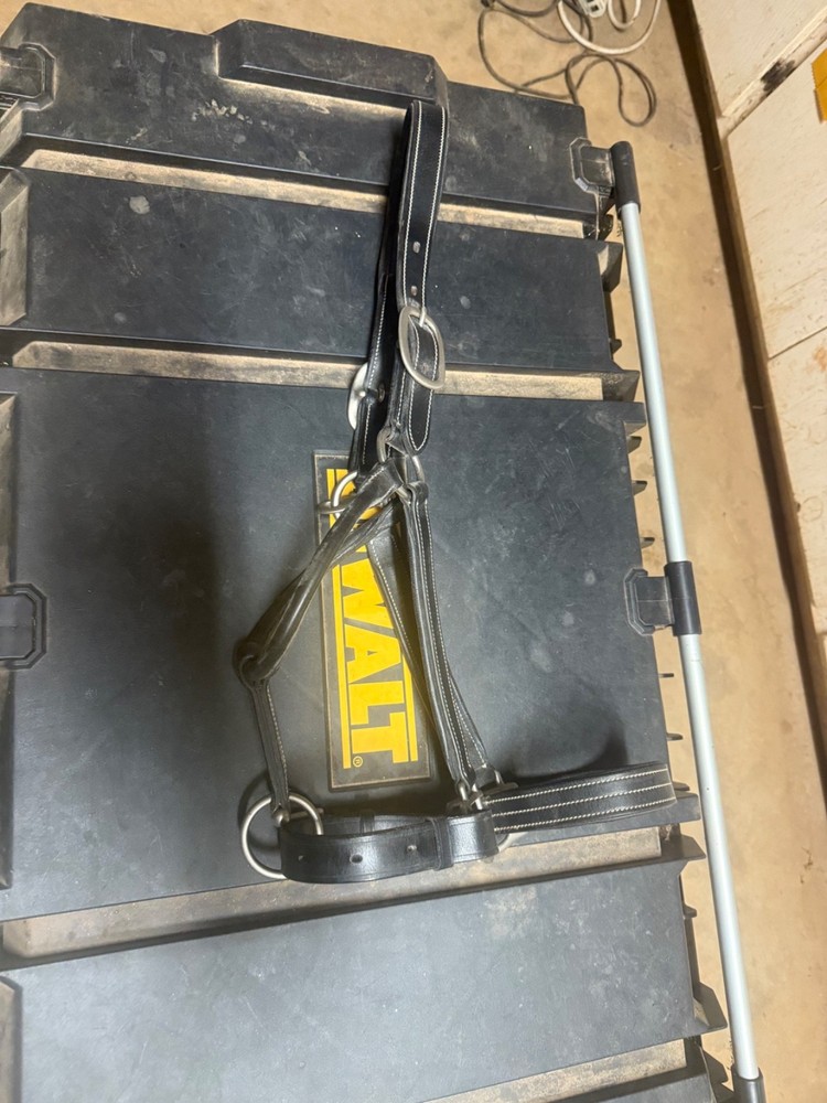 Red Barn Full Size Black Leather Halter