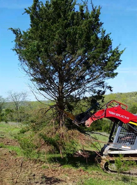 Danuser Intimidator Tree Puller
