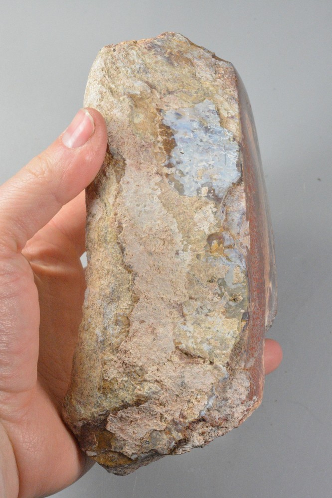Allosaurus Vertebrae, Agatized Dinosaur Bone, Morrison Formation, Utah