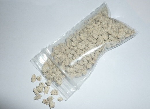 White Button mushroom spores spawn mycelium (on dry seeds)