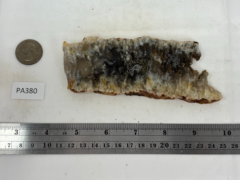 Plume Agate slab Cabbing Lapidary Combo Ship Avail Oregon