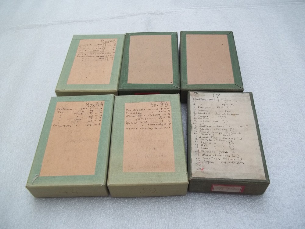 Vintage Glass Microscope Slides - 6 x Boxes
