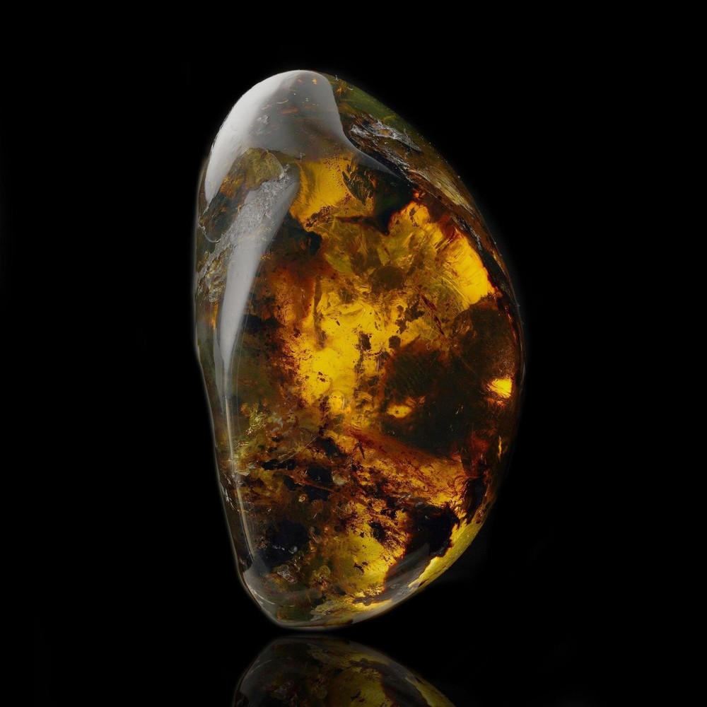 Mexican Amber – 38g