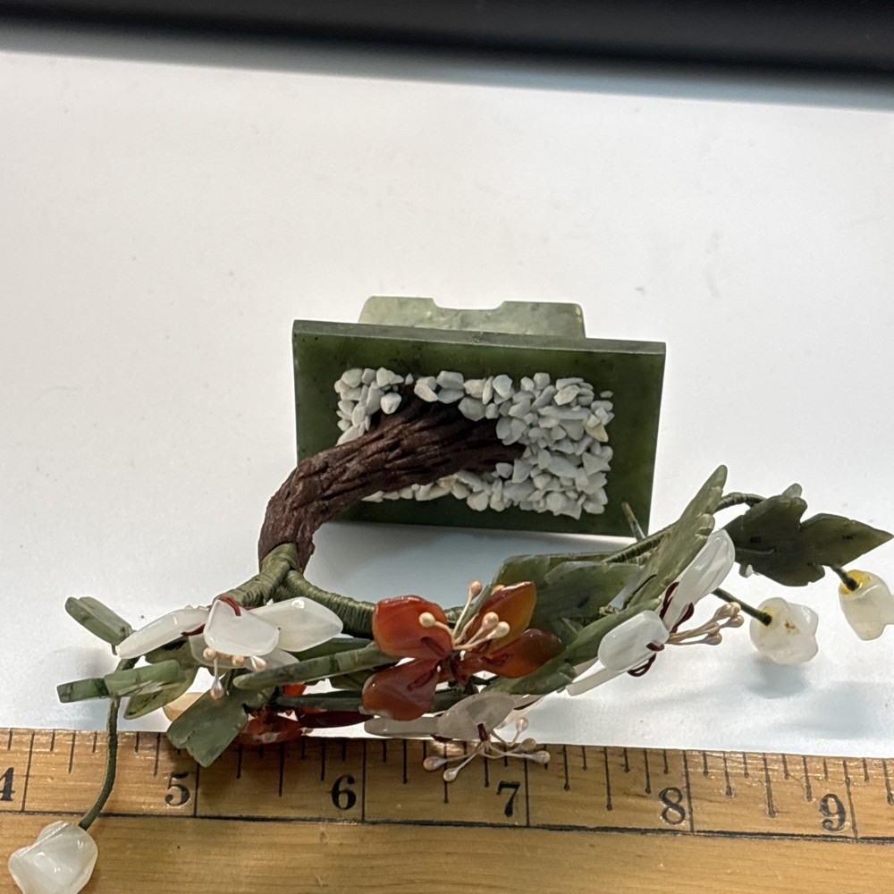 Curved Chinese Jade Tree