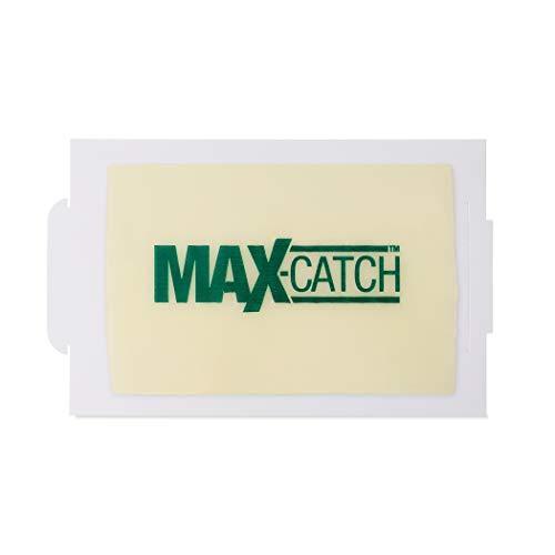 Catchmaster AA1170 72MAX Pest Trap, 72 Pack, White