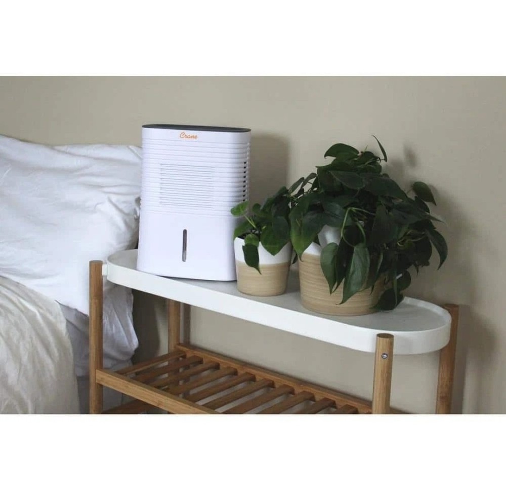 Crane 4 Pint Compact Dehumidifier for Small to Medium Rooms