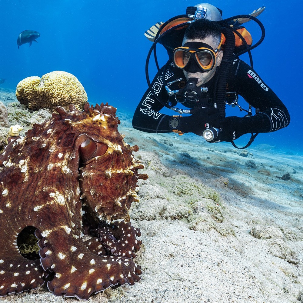 Mares Sirius L Dive Computer