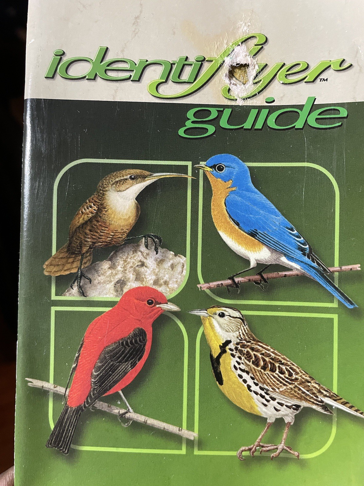 Handheld Electronic Birdsong Identiflyer,Carrying Case, 14 Song Cards,Earbud