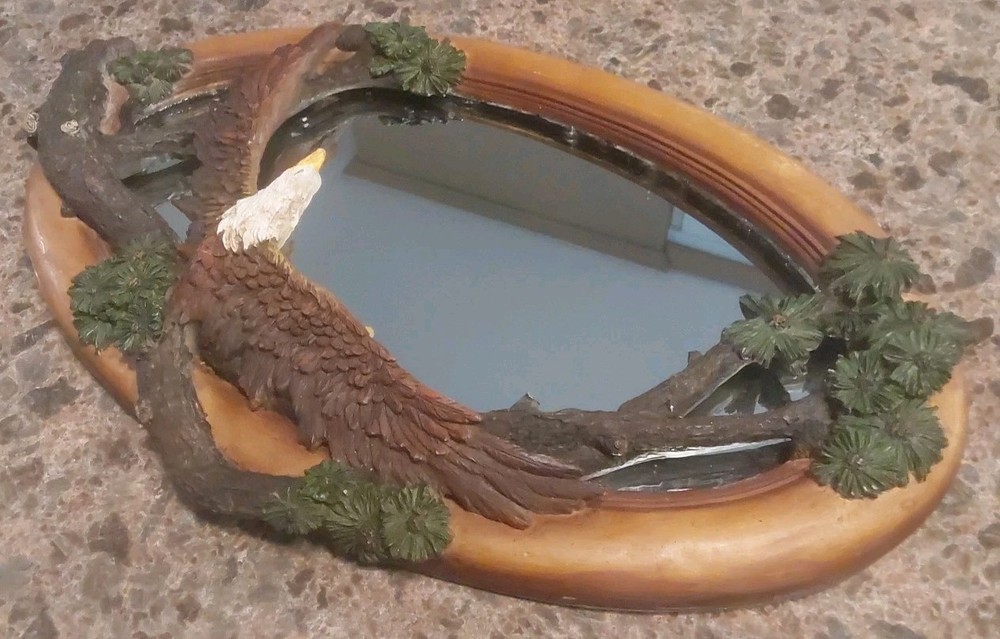 Soaring Bald Eagle Mirror