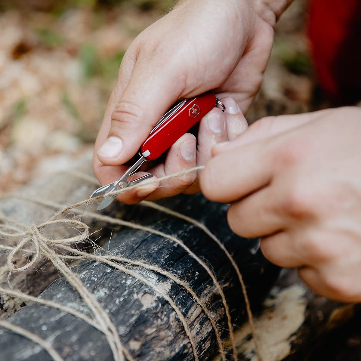 Victorinox Tweezers, Small pack of 6