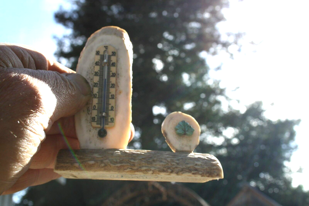 Vintage Antler Bone Thermometer Celsius with Turquoise Leaf
