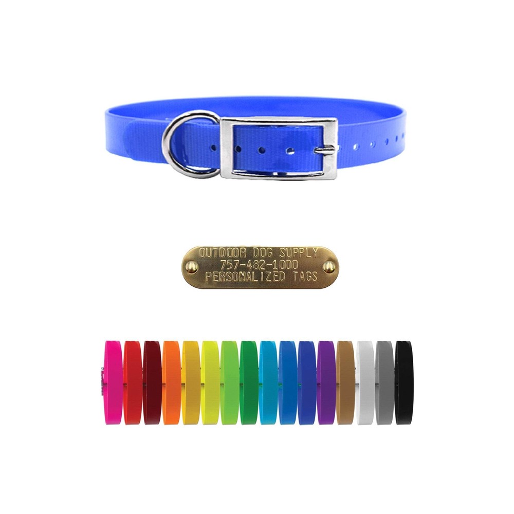3/4" Solid Waterproof D Ring Dog Collar with Personalized Brass Name Plate