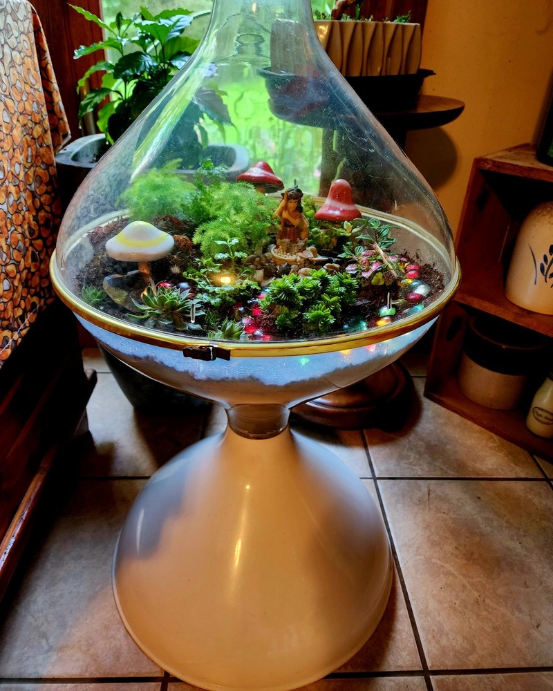 Vintage Terrarium