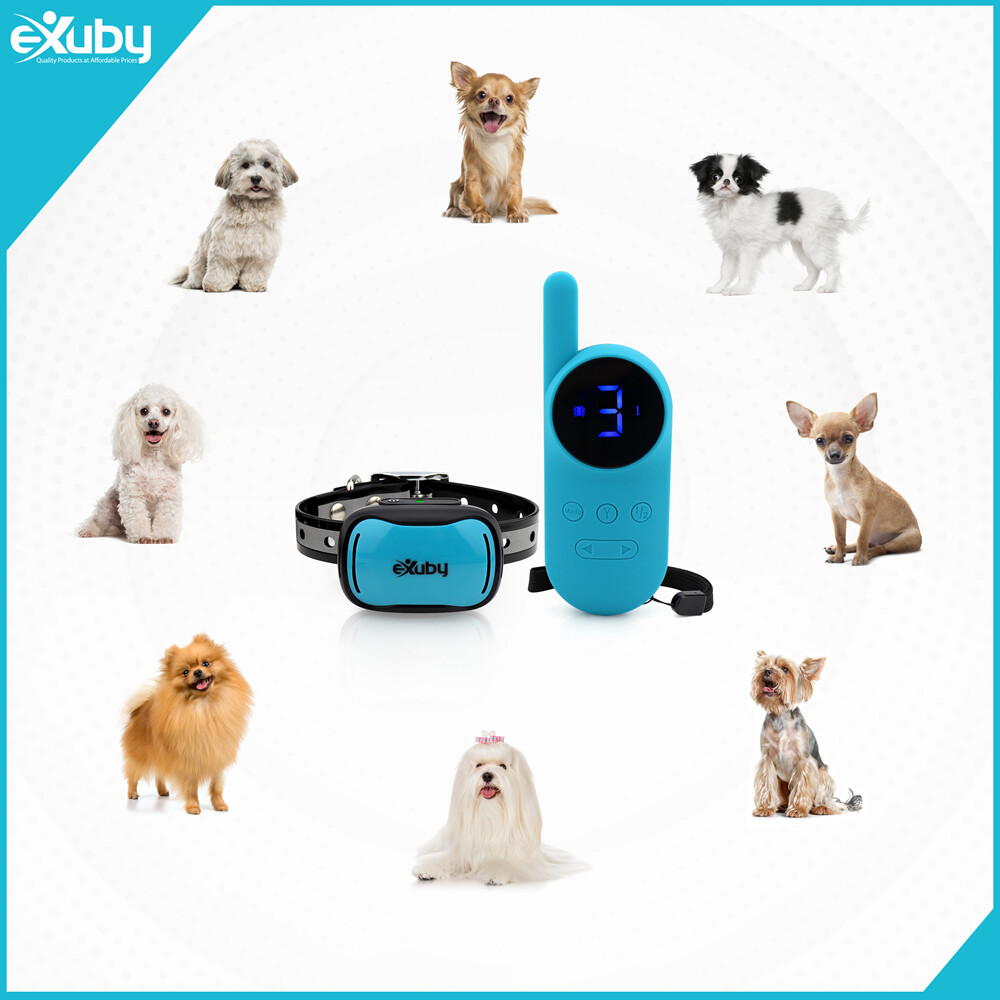 eXuby - Tiny Shock Collar for Small Dogs 5-15lbs - Smallest Collar on the Market