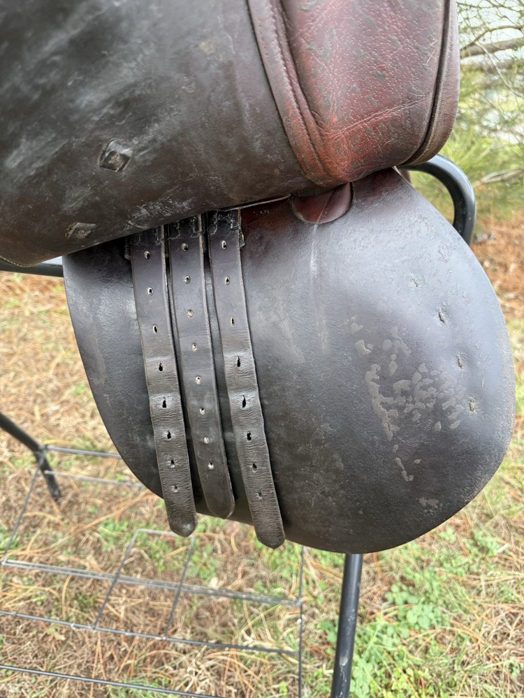 16.5” Northrun Ashland close contact saddle medium tree