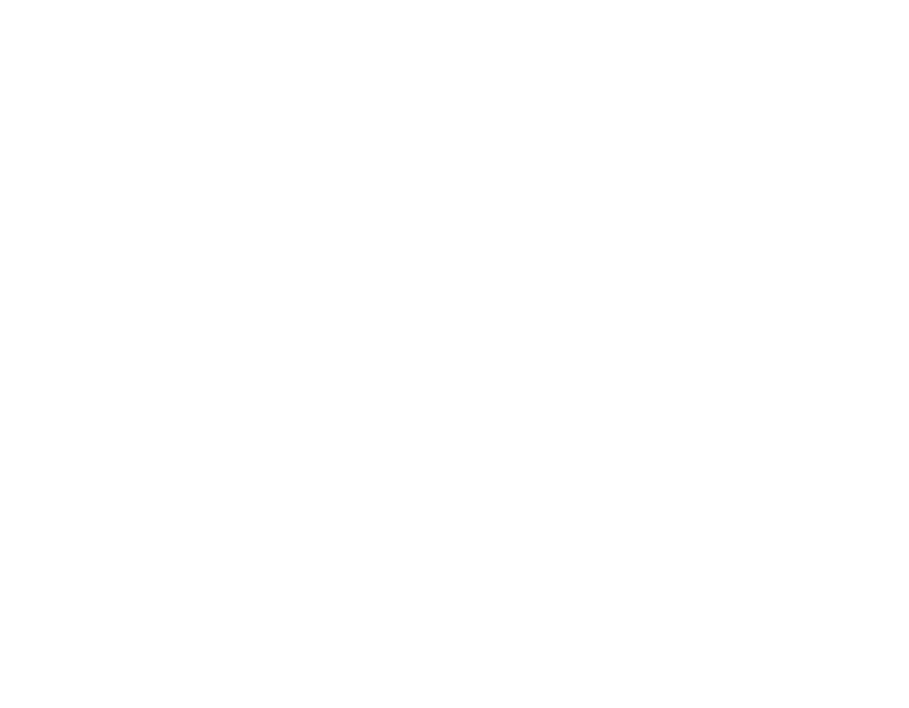 GRIP PERFORMANCE PRO-LITE RACING FLYWHEEL For 03-06 350Z / G35 17LBS LIGHTENED**